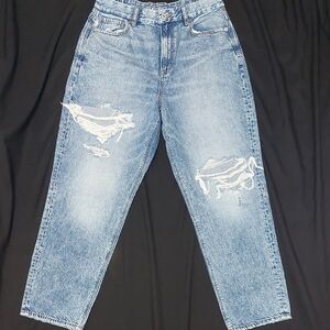 American Eagle Curvy Mom Jeans - 10